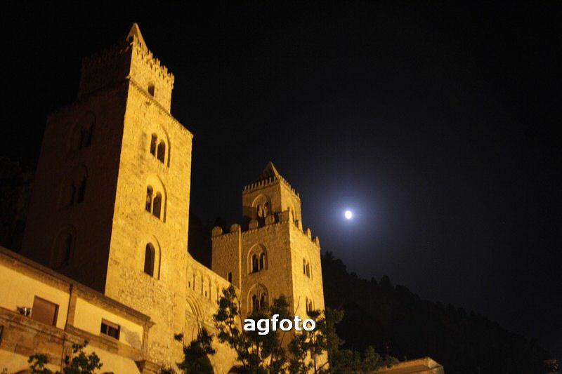 120729 albero1 035_tn.jpg